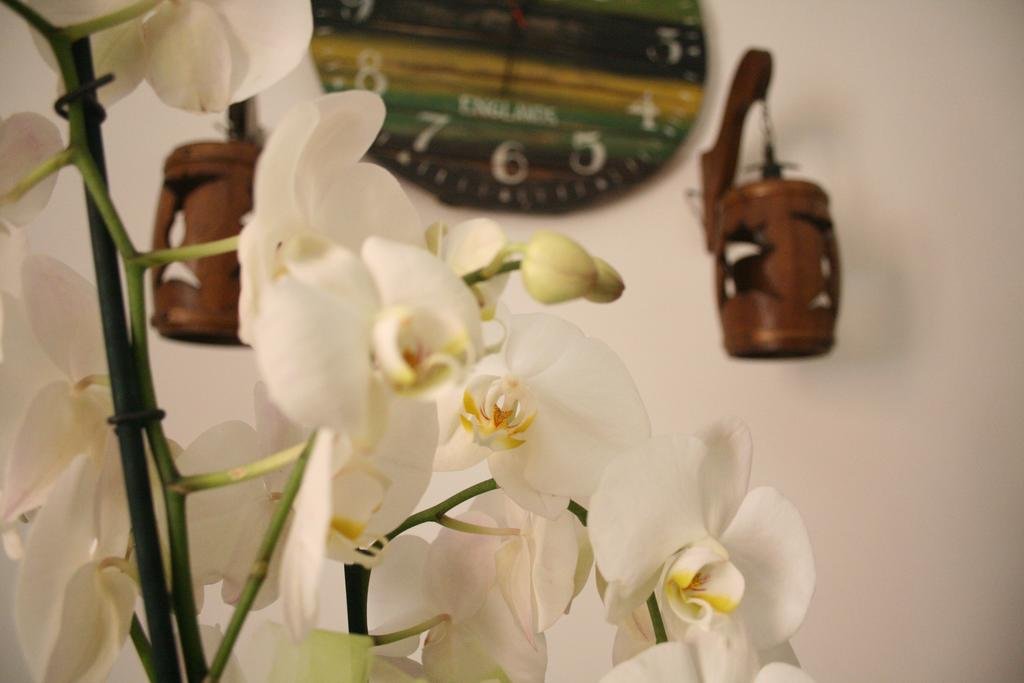 Фото B&b Santiago