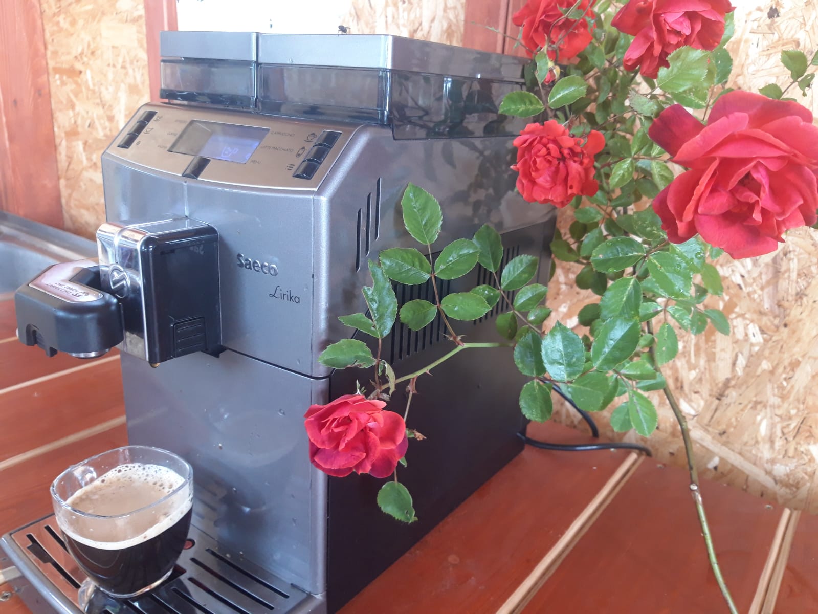 Фото Порфмий