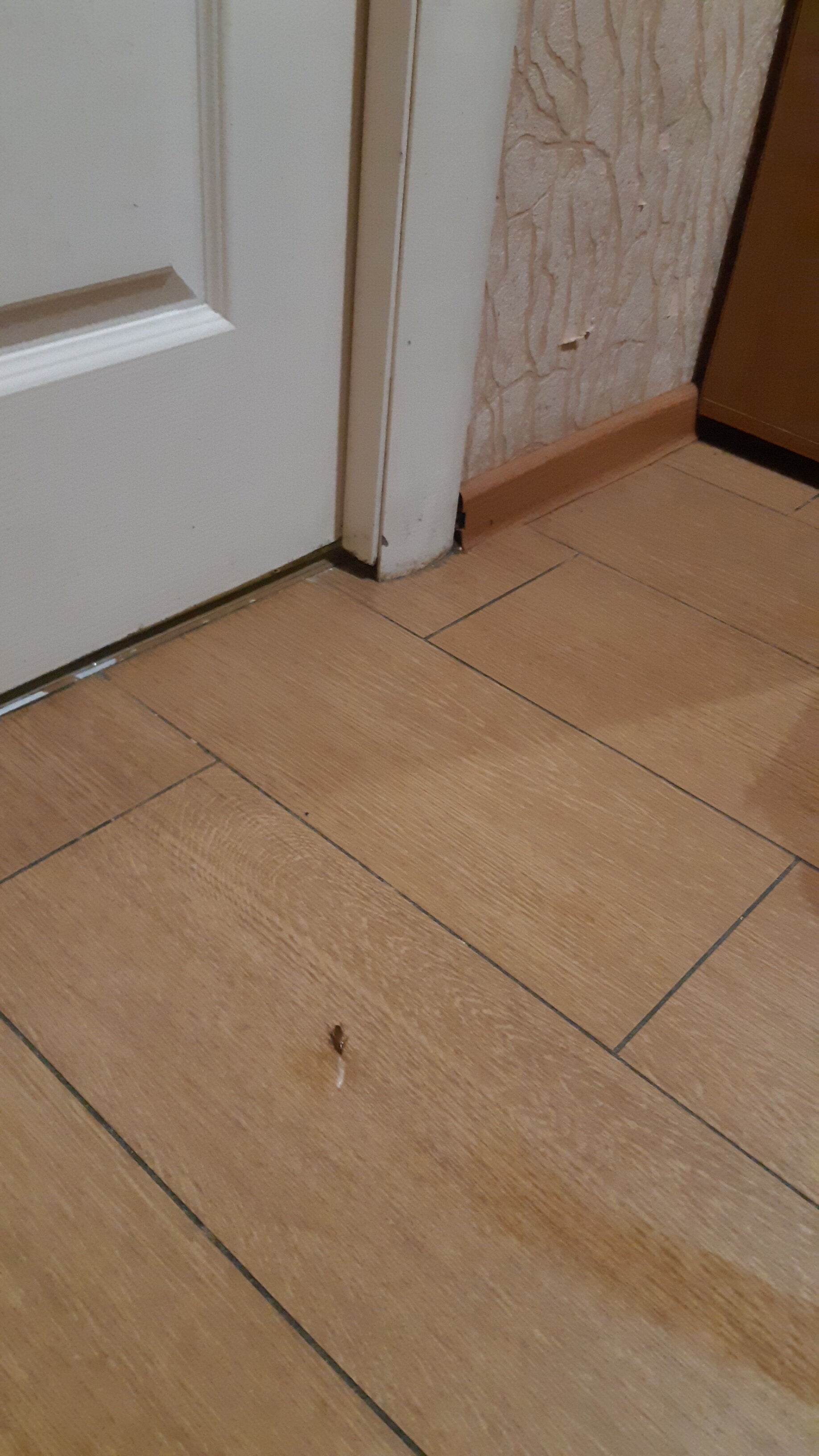 Фото Мечта+