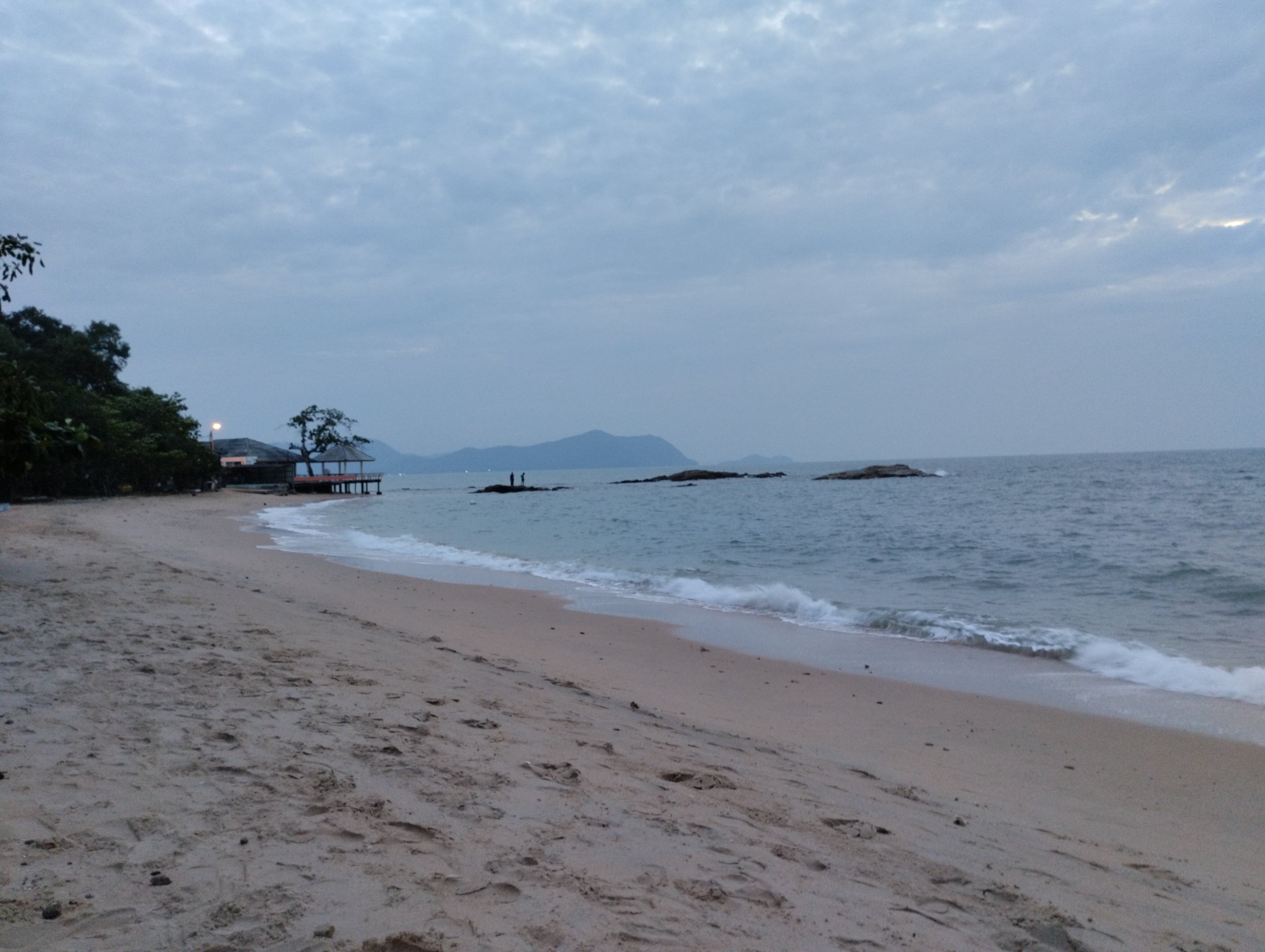 Фото Palm Grove Resort