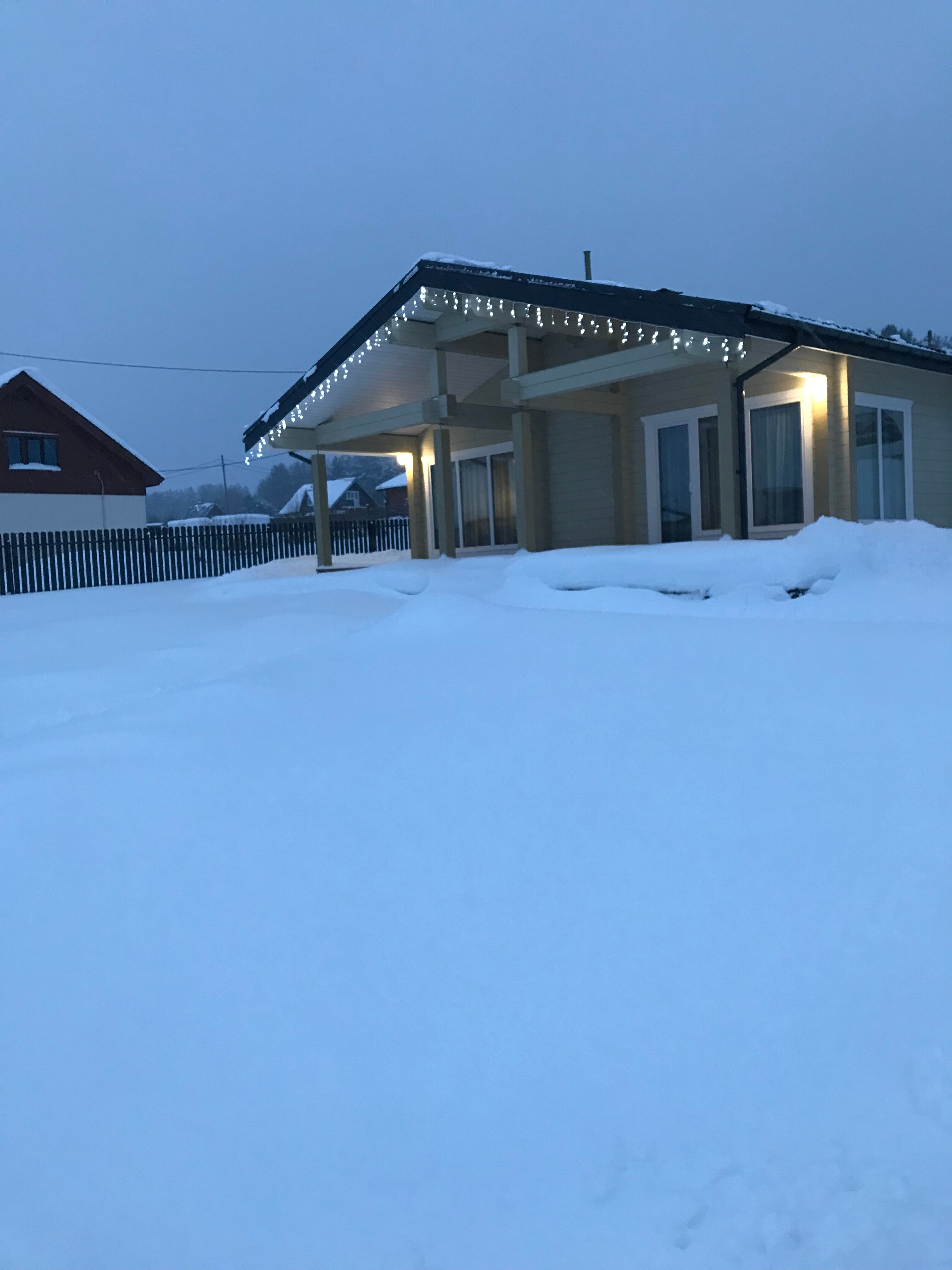 Фото Таволга