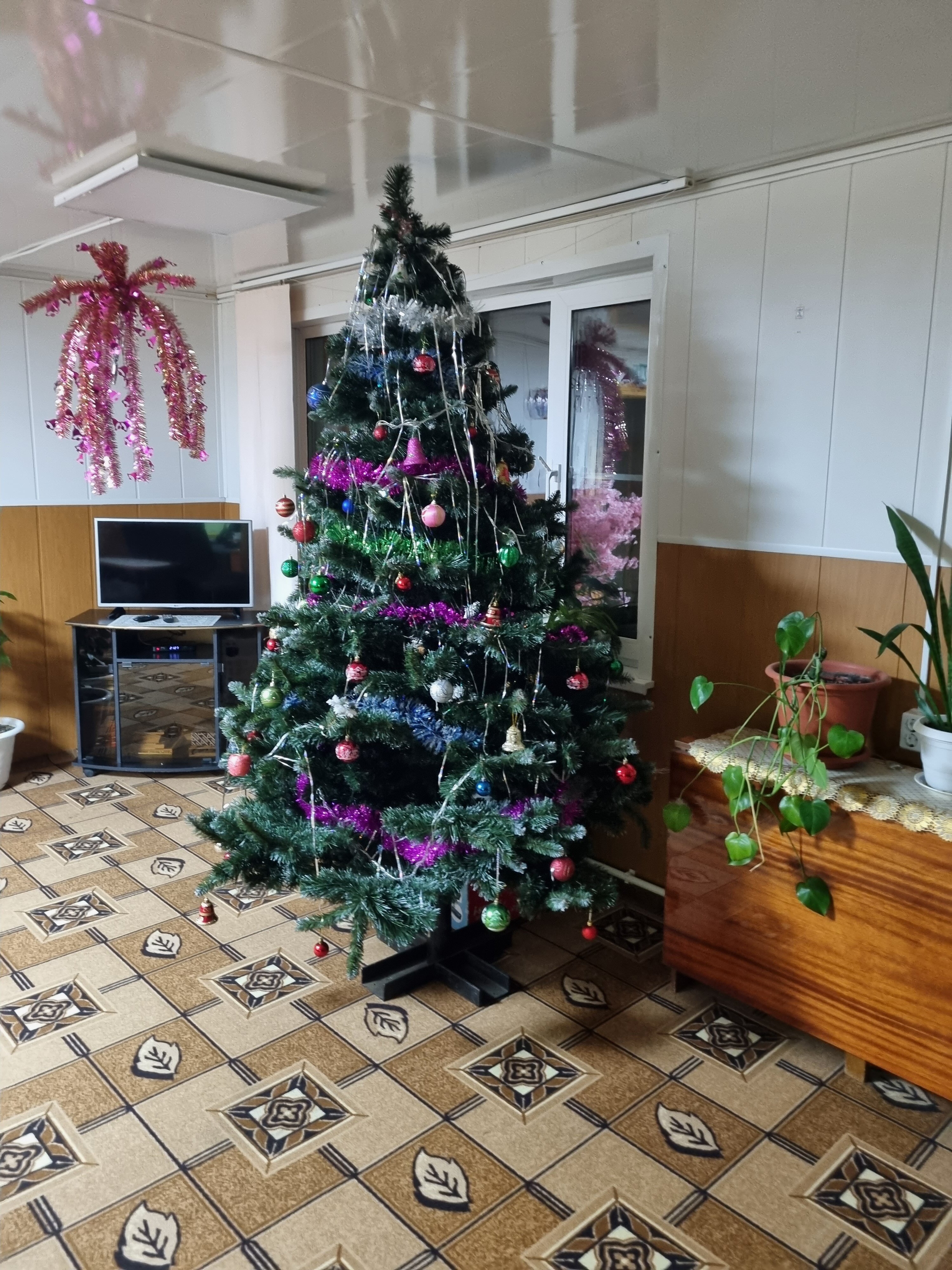 Фото Жемчужина Сухоны