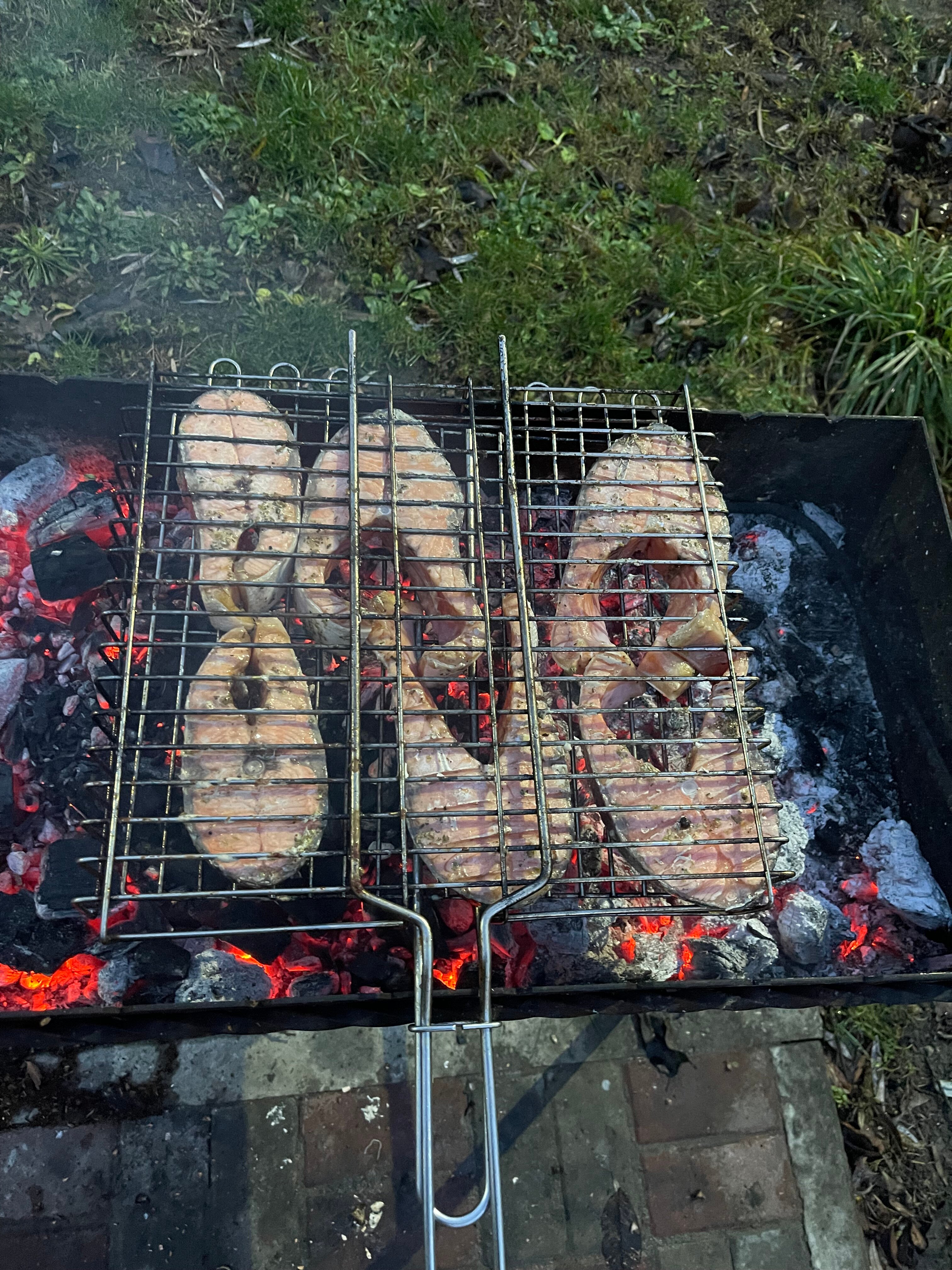 Фото Iva тенистая