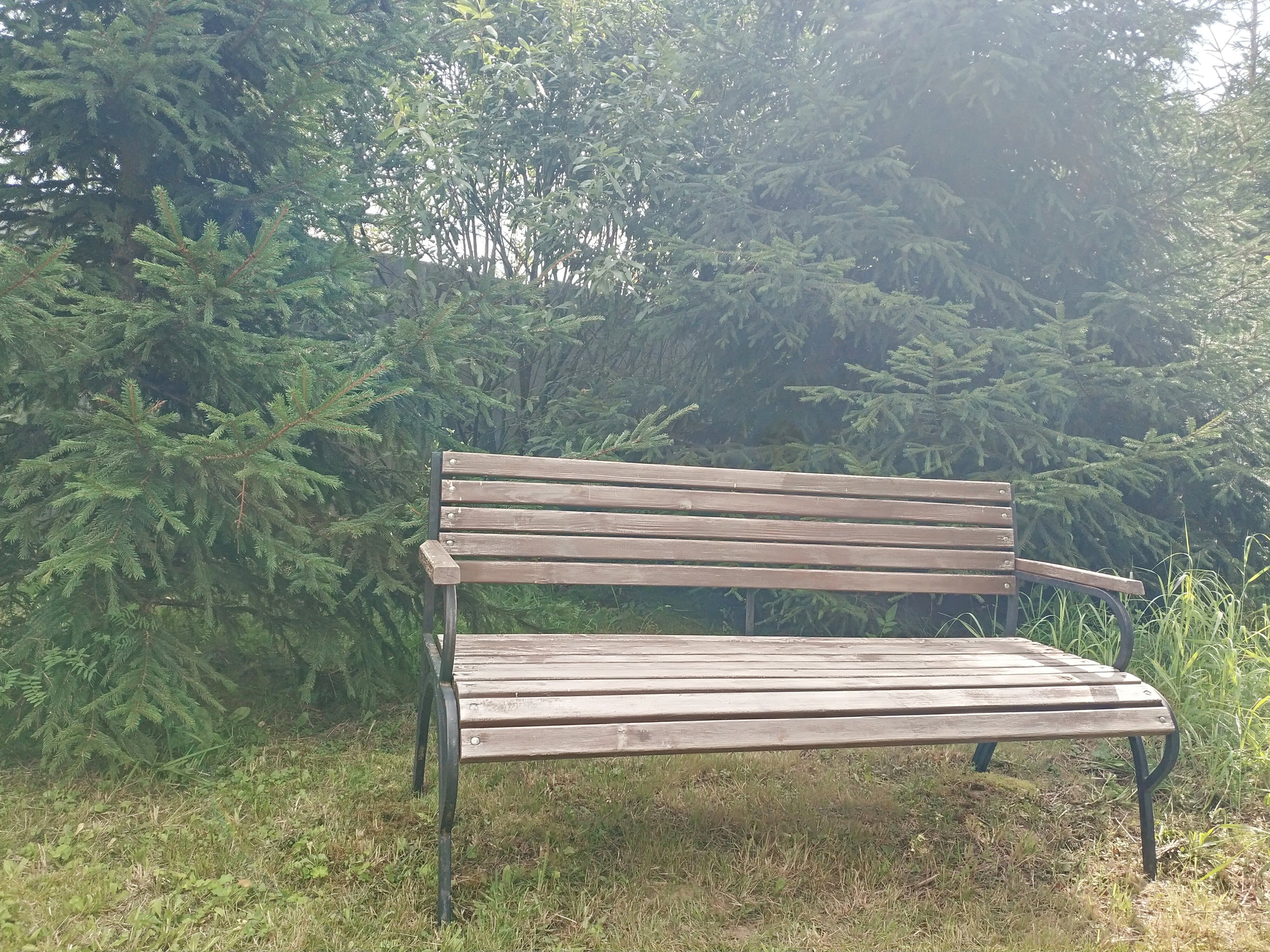 Фото Домики у леса в посуточную аренду