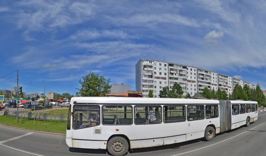 Supermarket Dixi, Pskov, photo