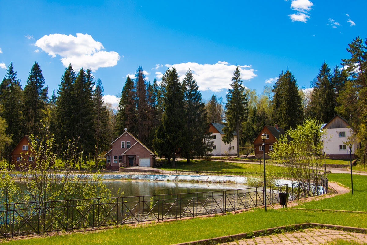 Фото Лесная сказка