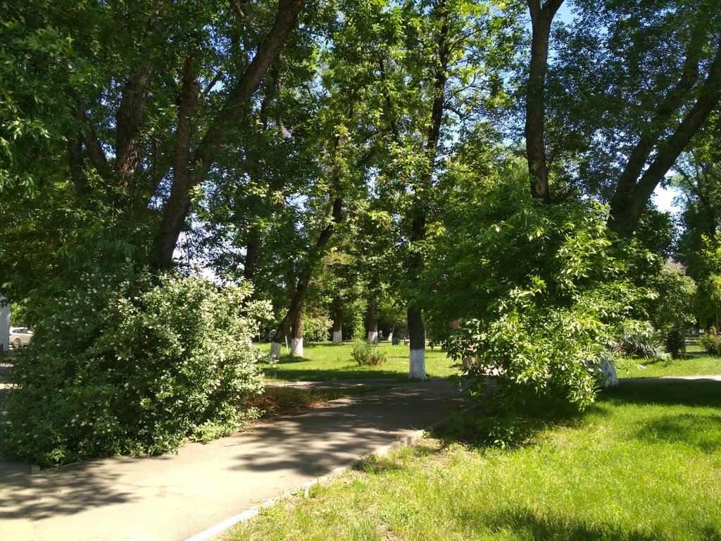 Plaza Петровский сквер, , foto