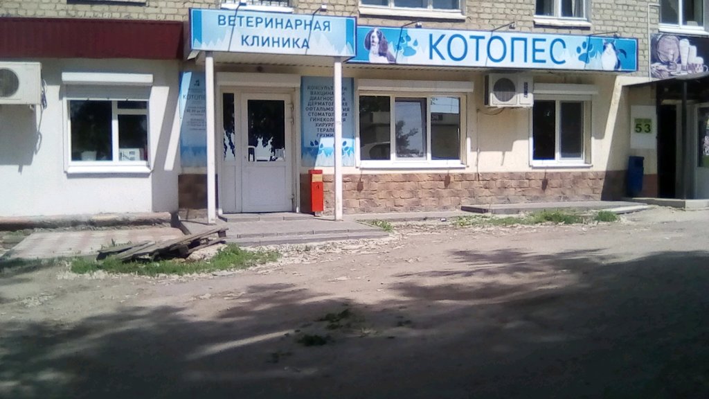 Магазины Котопес Саратов