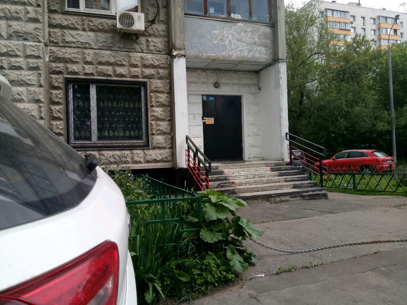 Фото Ладомир