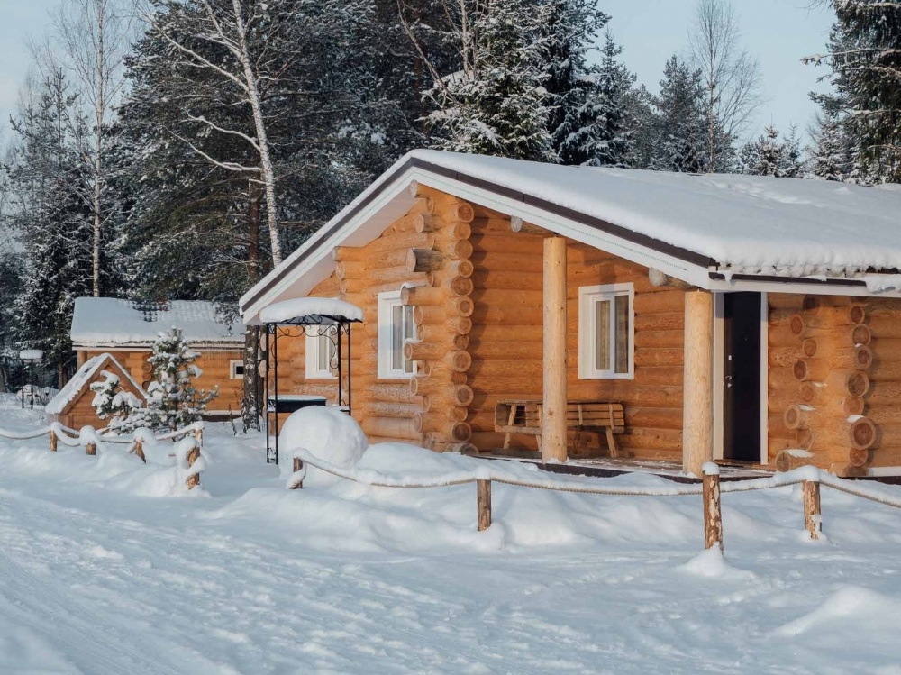 Фото Пикник