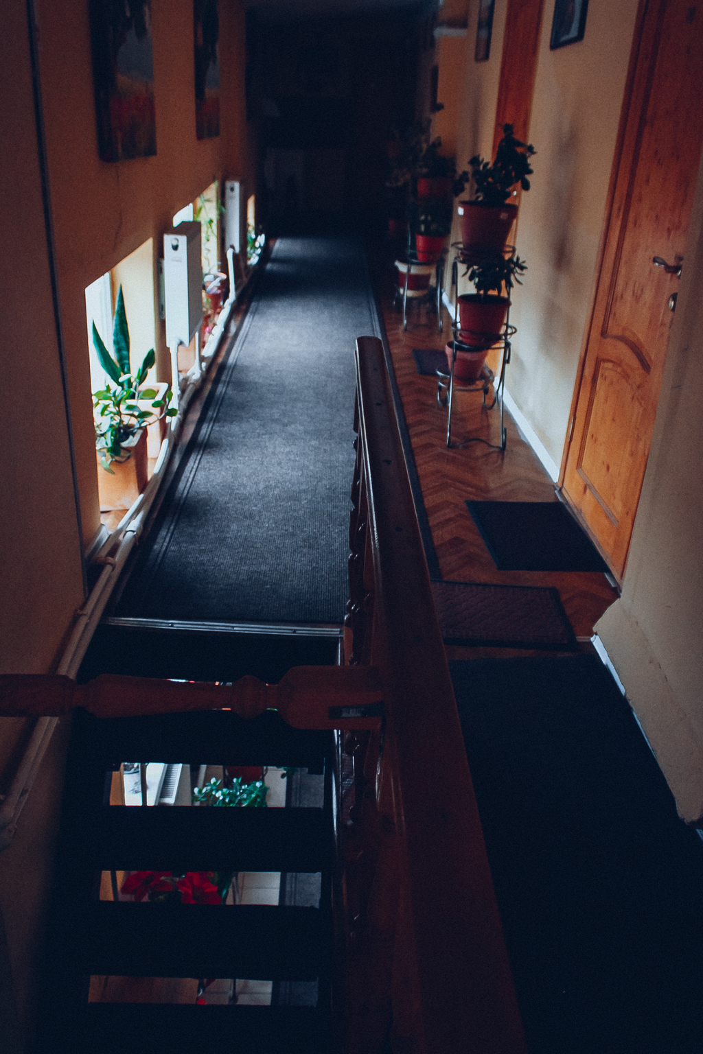 Фото Ситара