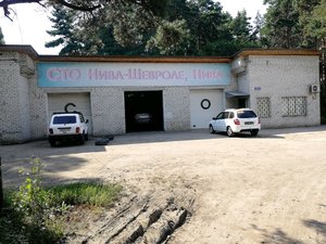 Автосервис Нива-Chevrolet (Voronezh, mikrorayon Pervoye Maya, Aprelskaya street, 1А), car service, auto repair