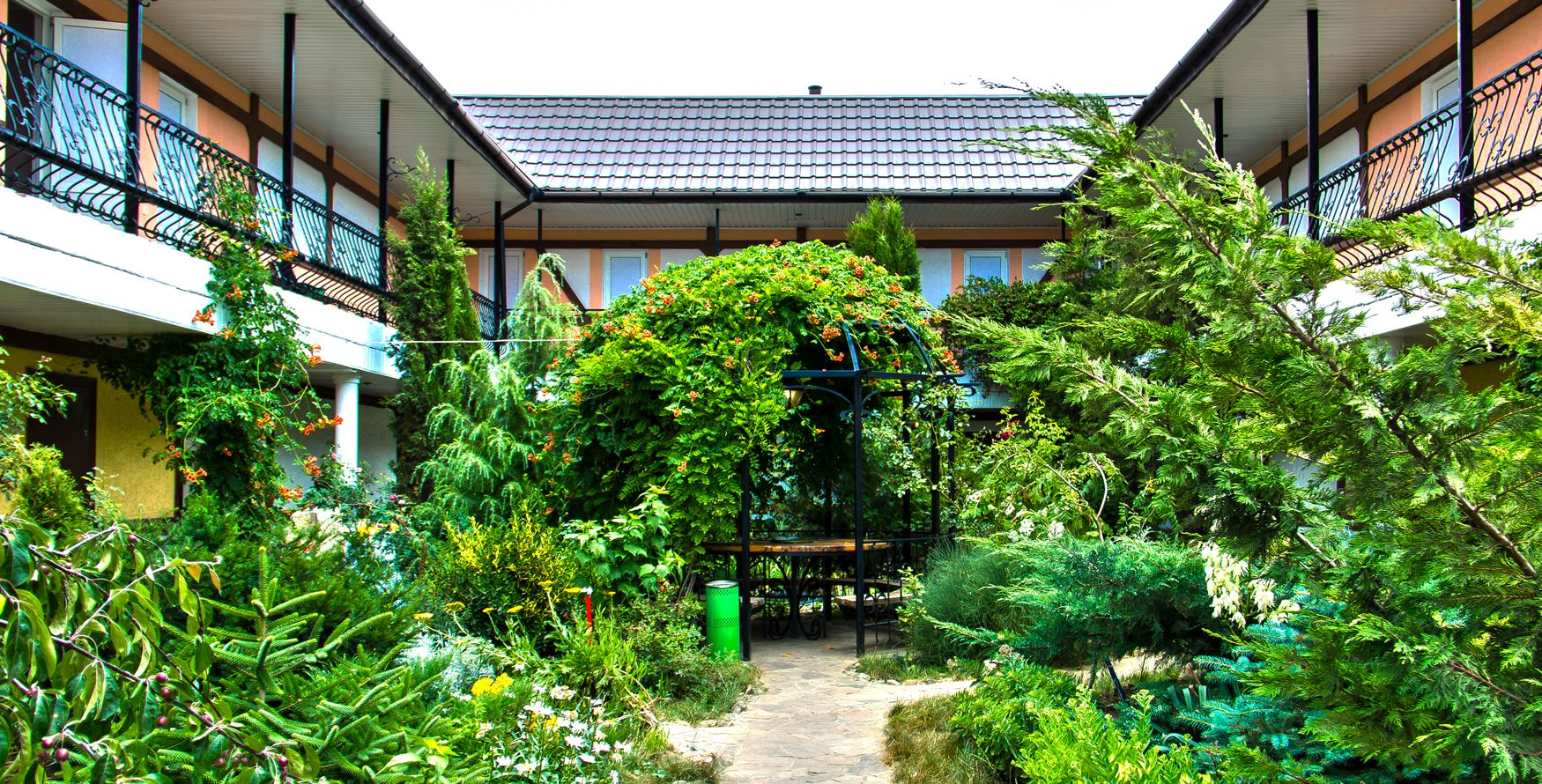 Фото Муравейник