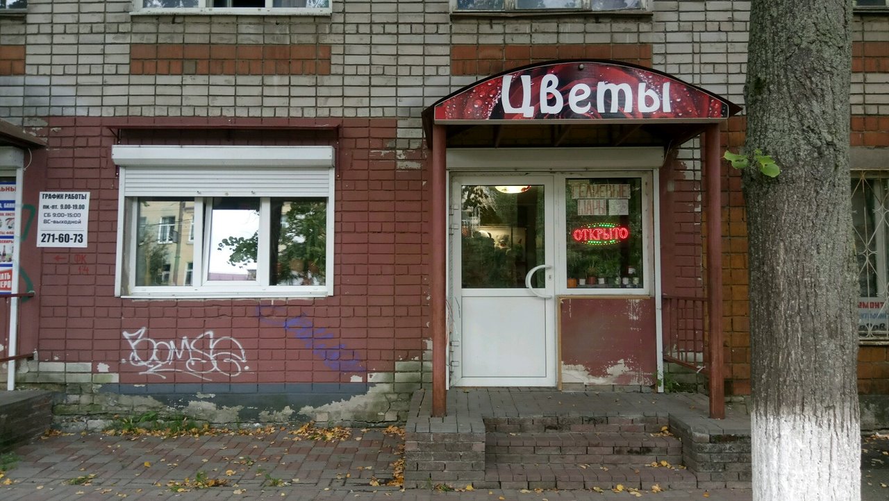 Улица чаадаева нижний новгород карта