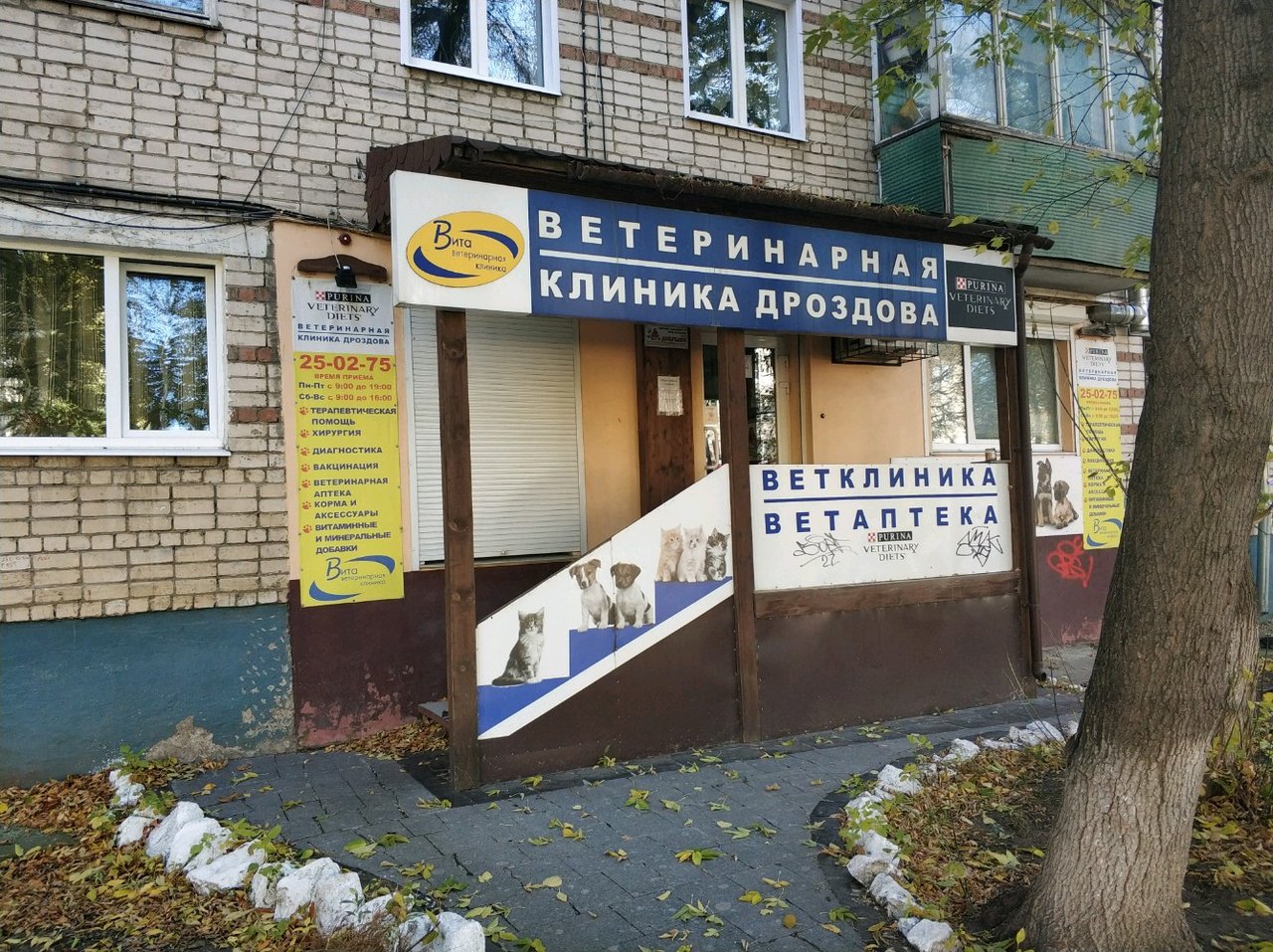 Ветеринарная клиника тольятти центральный Ветеринарная клиника тольятти центральный