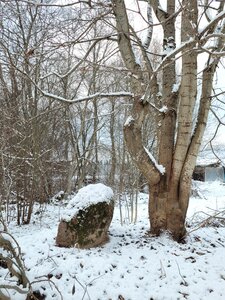 Валуны в парке усадьбы Н.Б. Юсупова (Leningrad Region, Tosnenskoye gorodskoye poseleniye, derevnya Novolisino, park usadby Knyazhelisino), atracción
