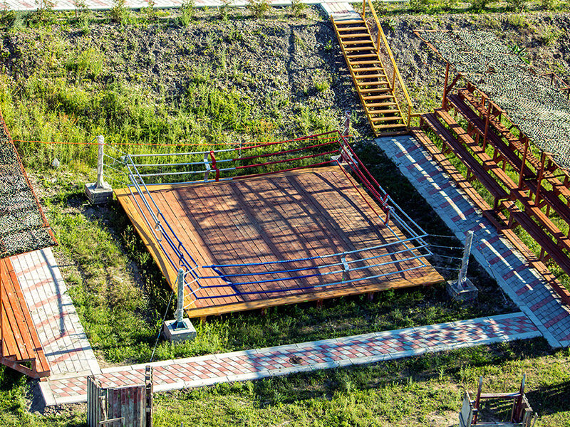 Фото Светлячок