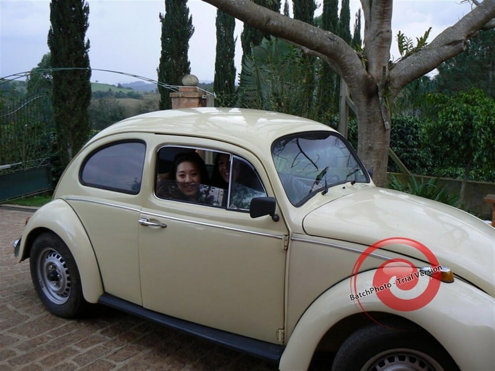 Фото Hirondelle Paraíso