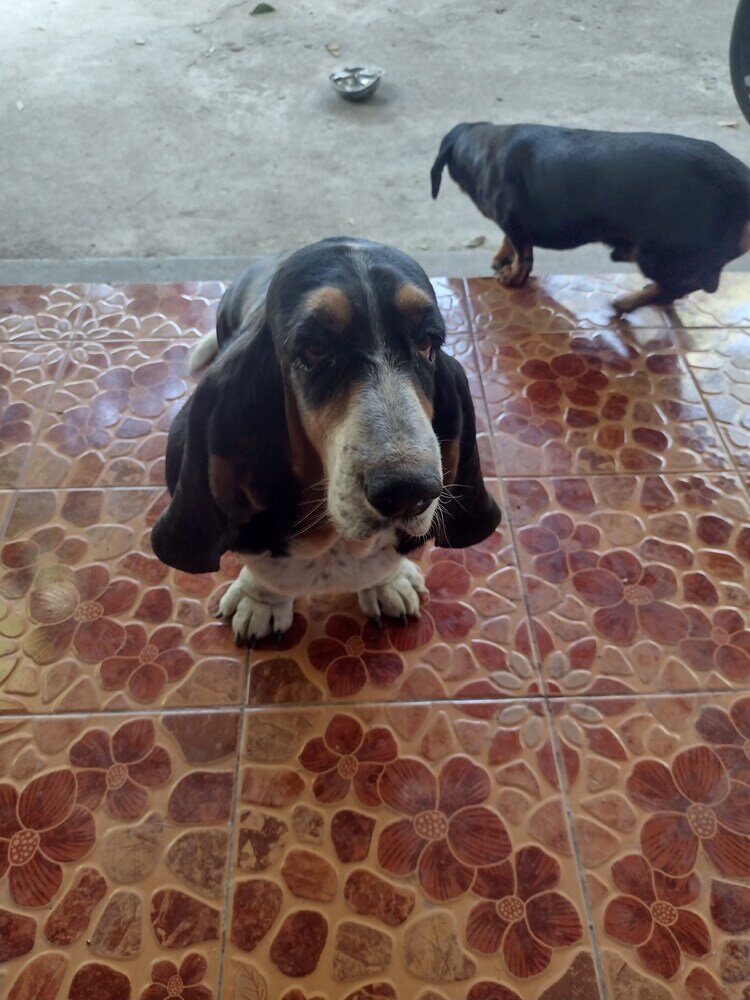 Фото Кемпинг Mae Sot Commune