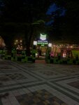 Изумрудный лис (Rozy Lyuksemburg Street, 1), anime shop