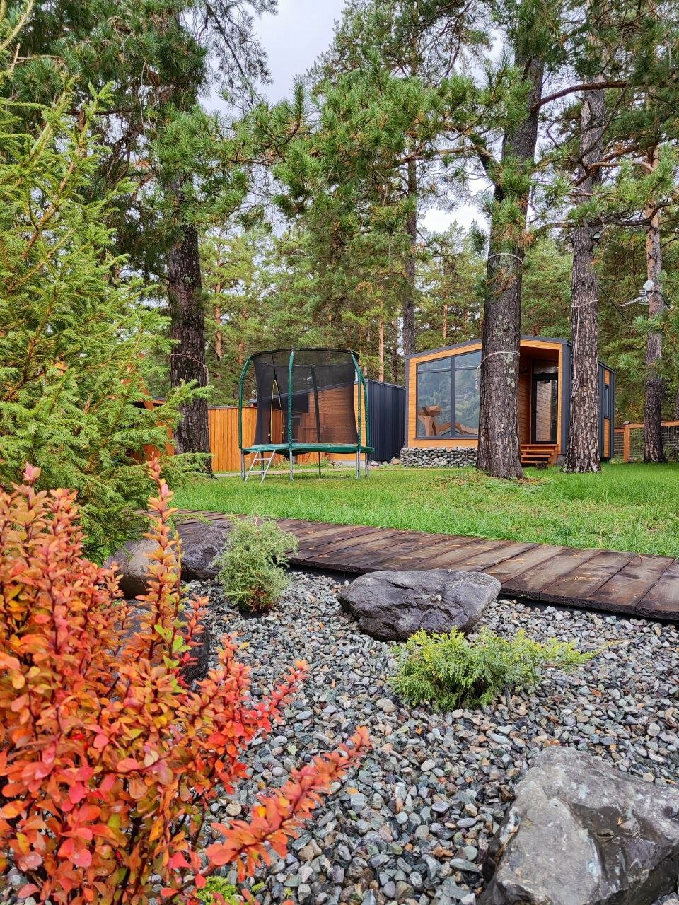 Фото Лес ДО небес