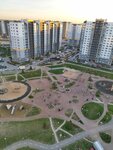 Novoye Gorelovo (Leningrad Region, Lomonosovskiy District, Villozskoye gorodskoye poseleniye, posyolok Novogorelovo, Sovremennikov Street, 11к2), housing complex