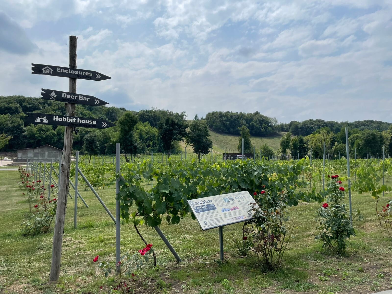 Фото Оленья ферма