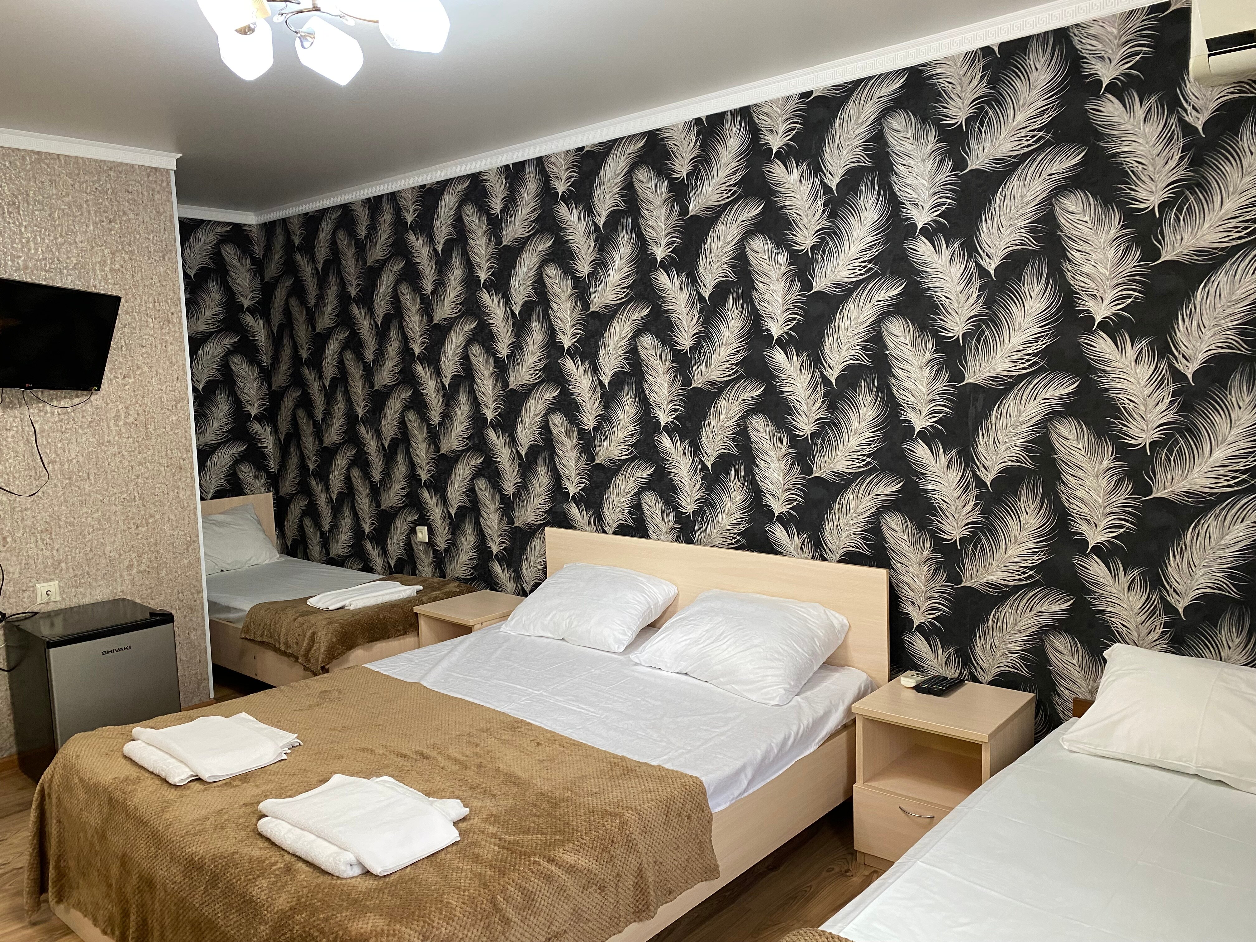 Фото Кипарис