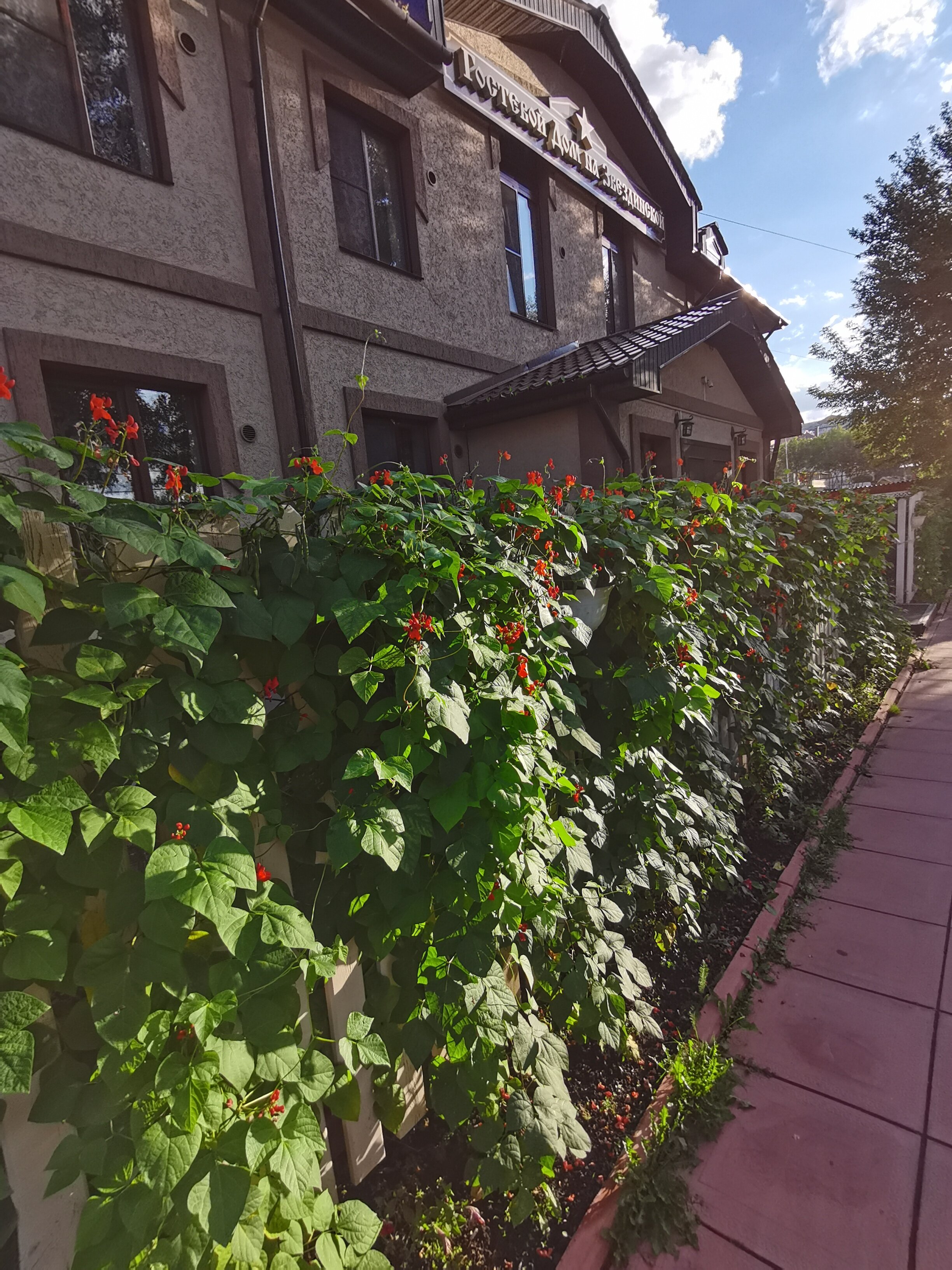 Фото Гостевой дом на Звездинской