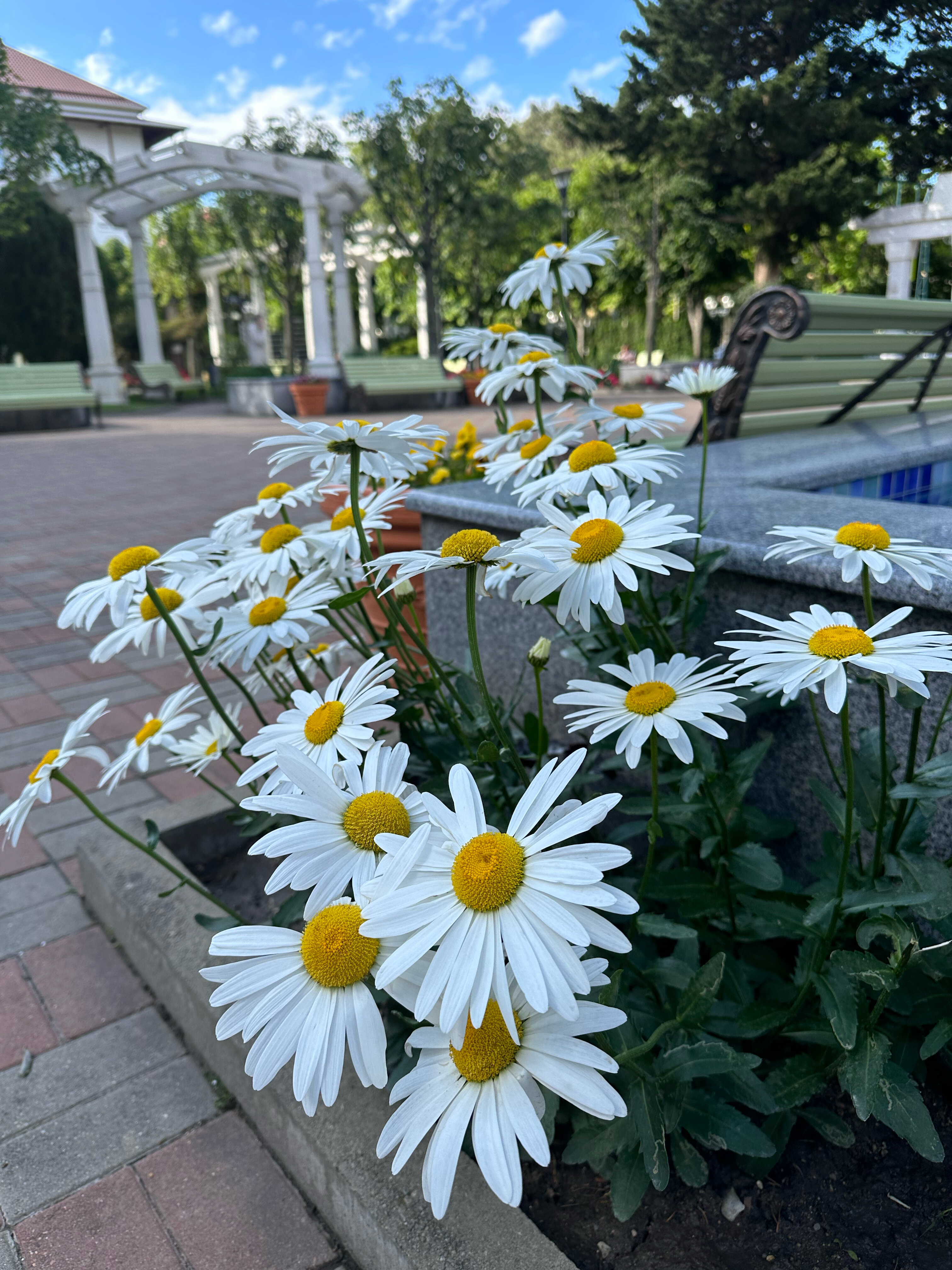 Фото Красная Талка