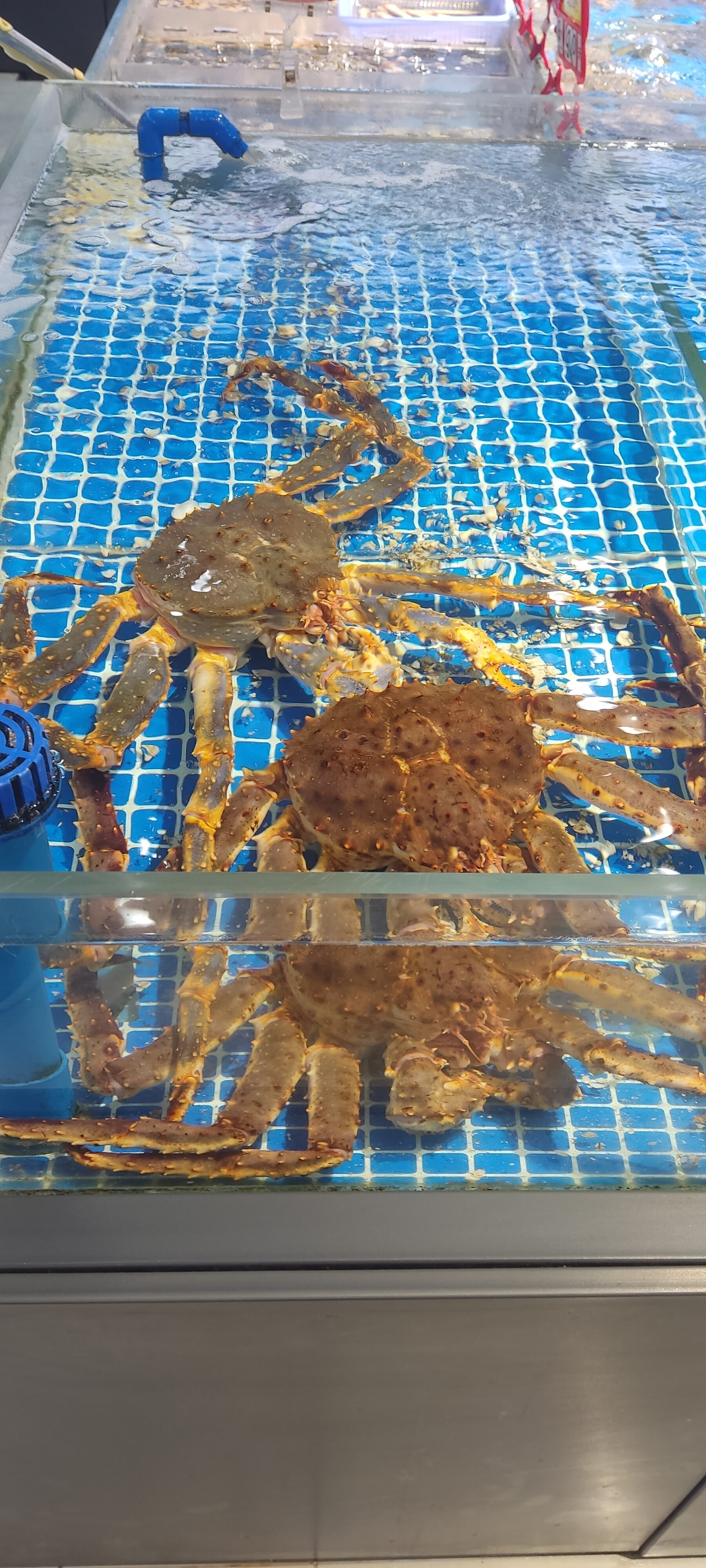 Фото Sheraton Qingdao Jiaozhou Hotel