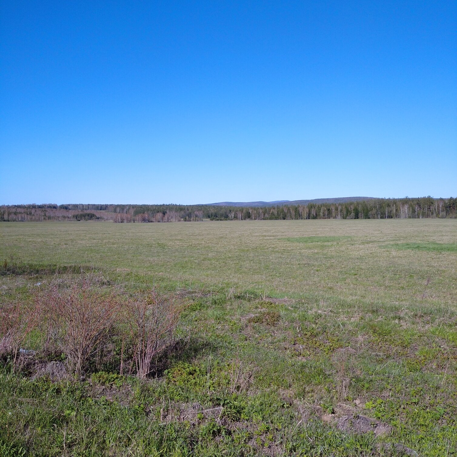 Фото На Горушке