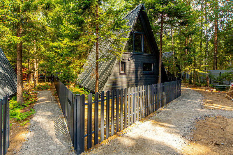 Фото Elki в Новожилово