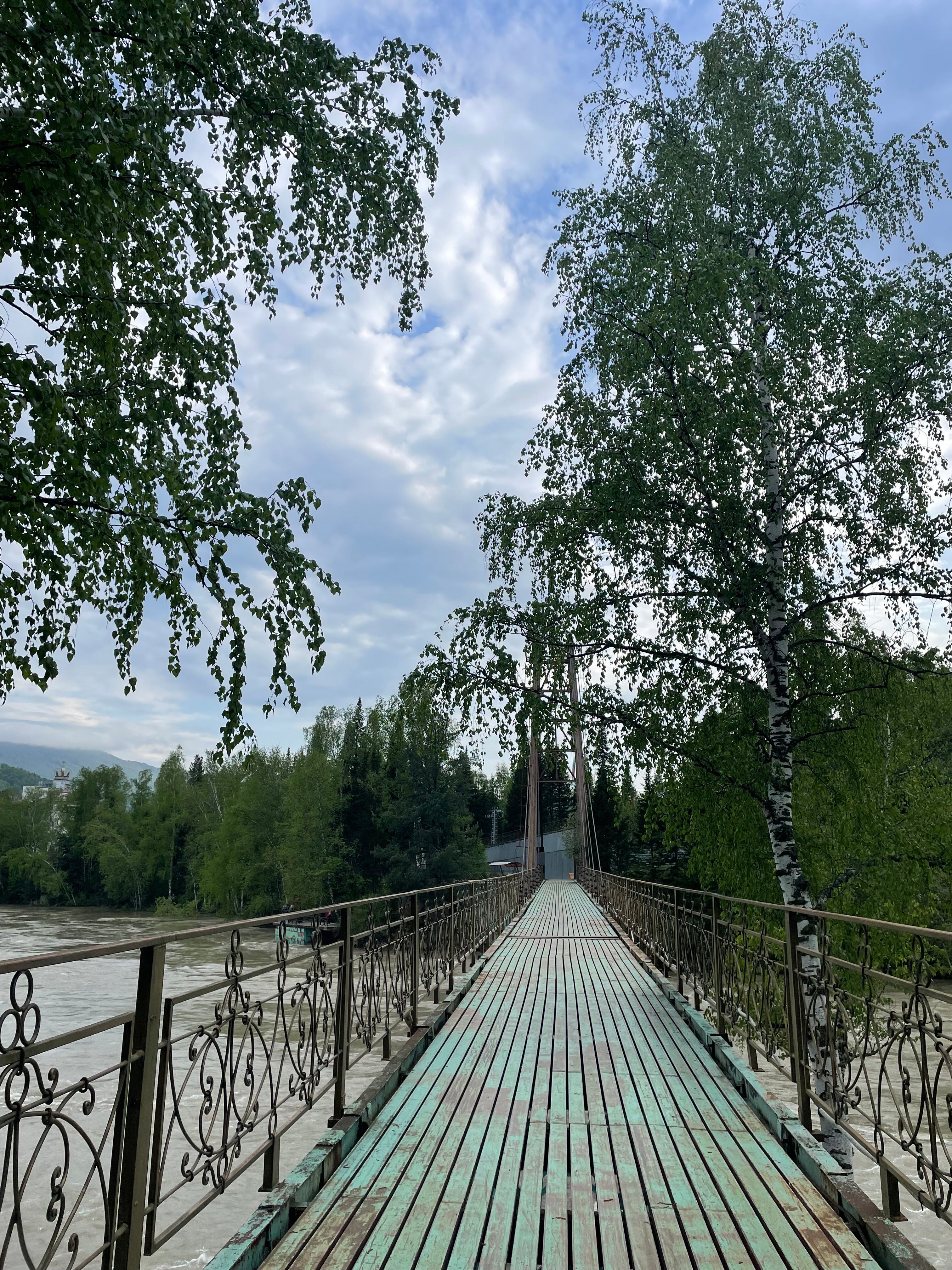 Фото Корона Алтая