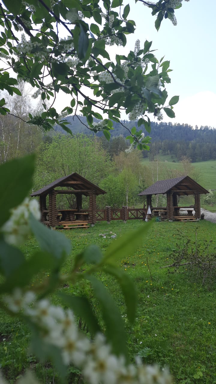 Фото Тихий Стан