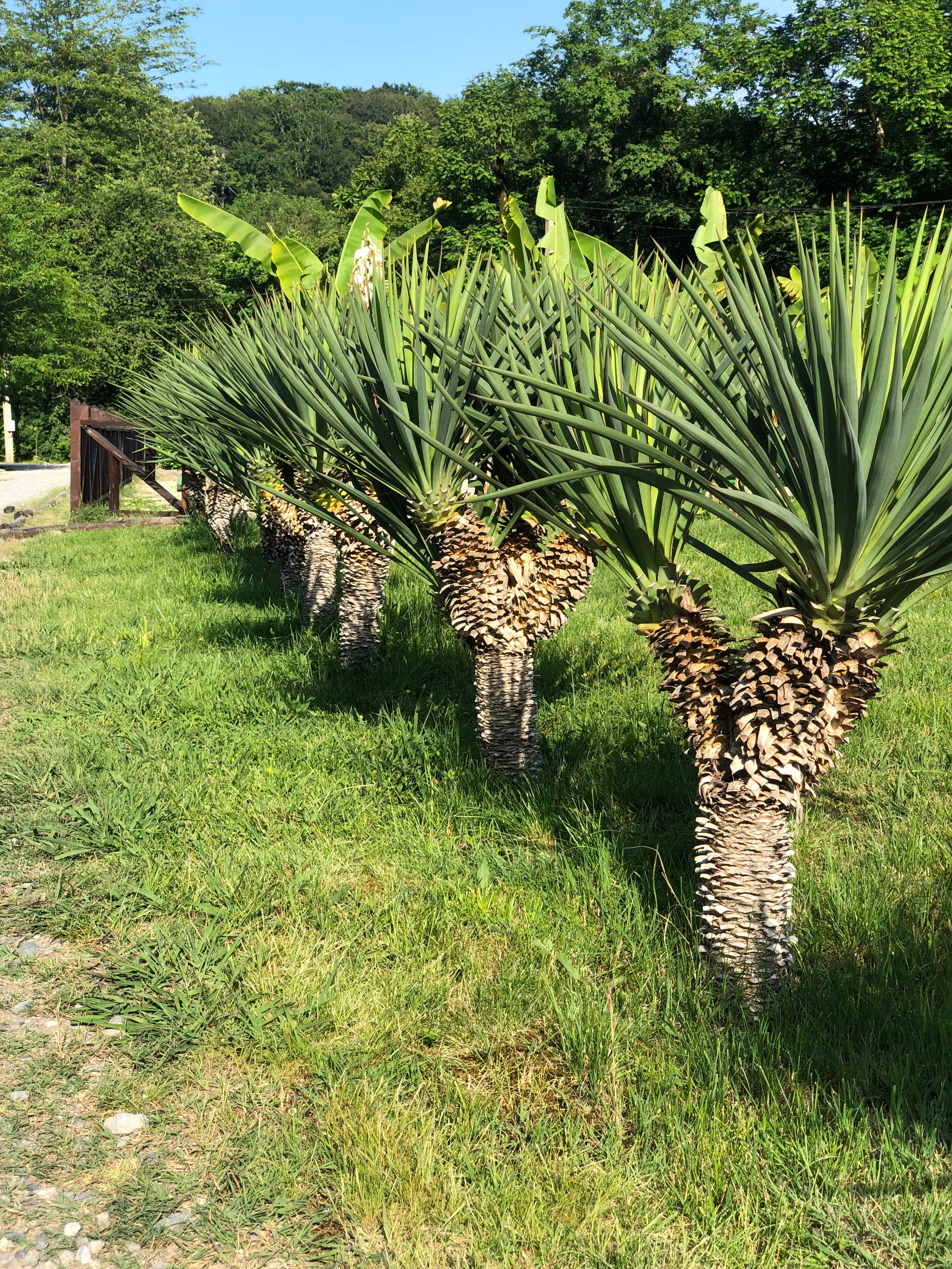 Фото Эко Парк Вотчина