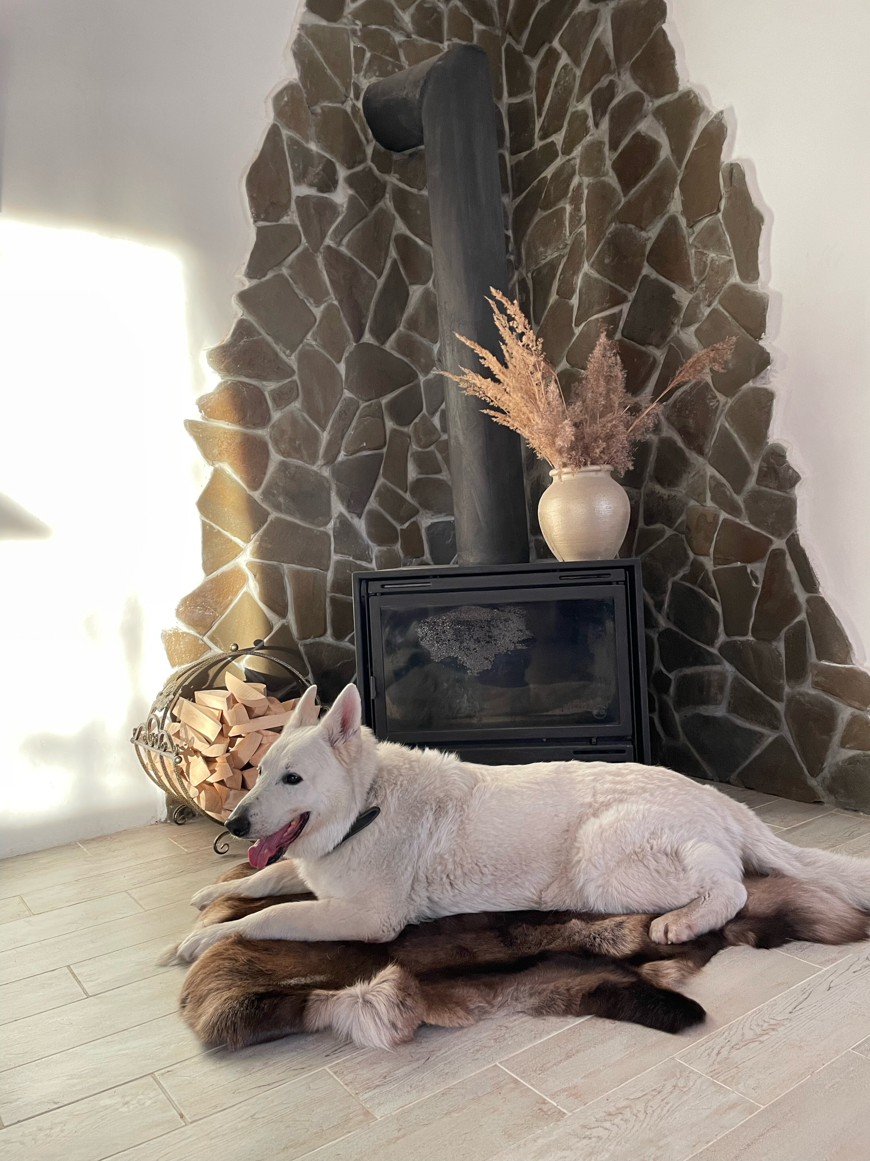 Фото Румянцево