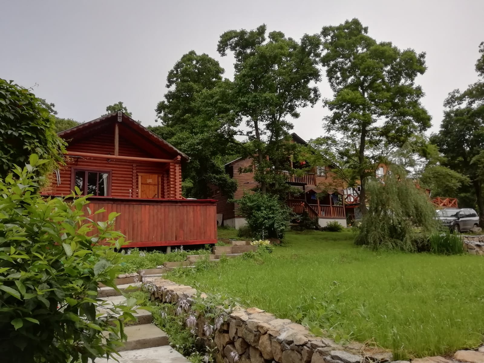 Фото Ольховая