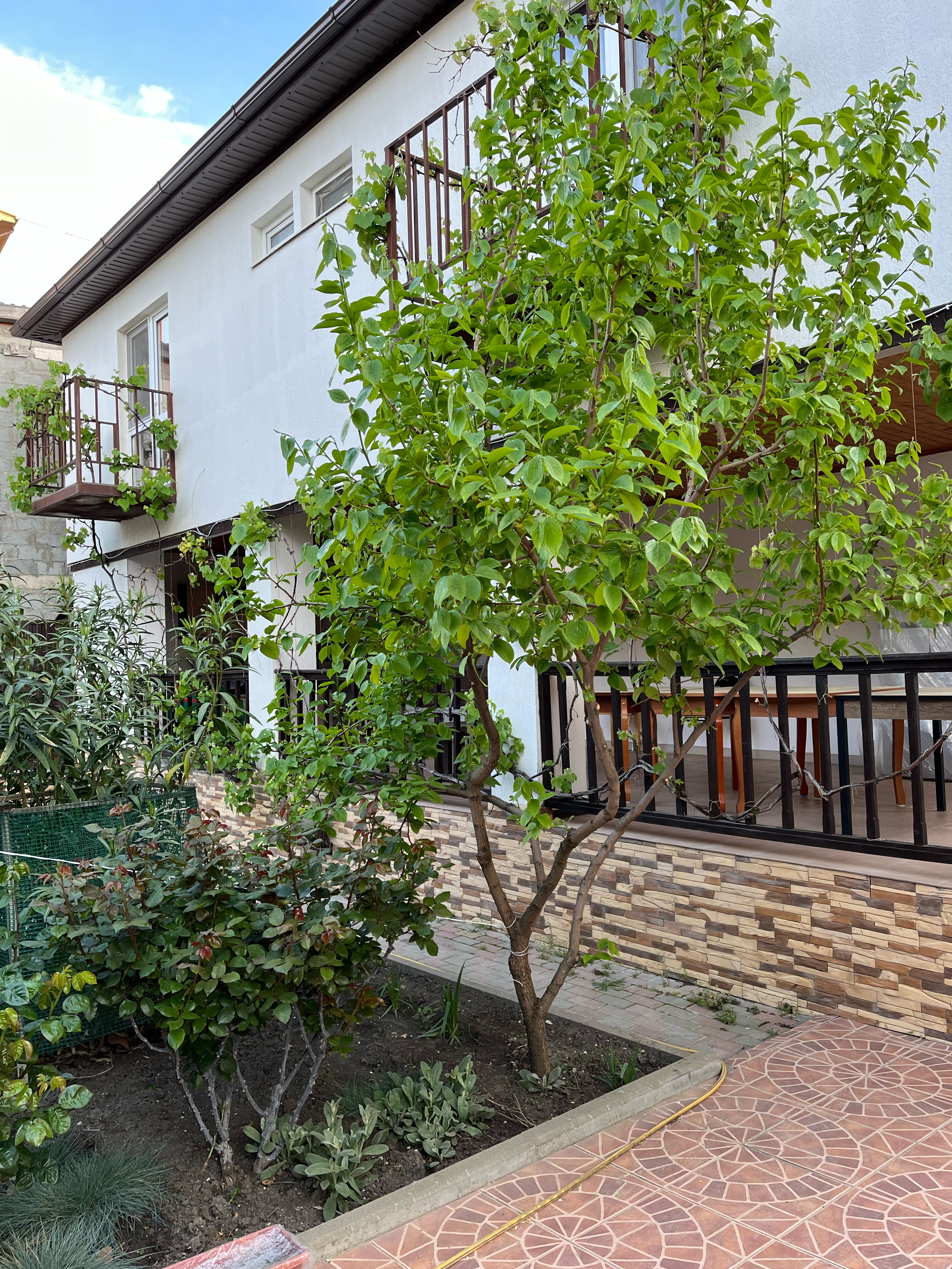 Фото У Николаевны