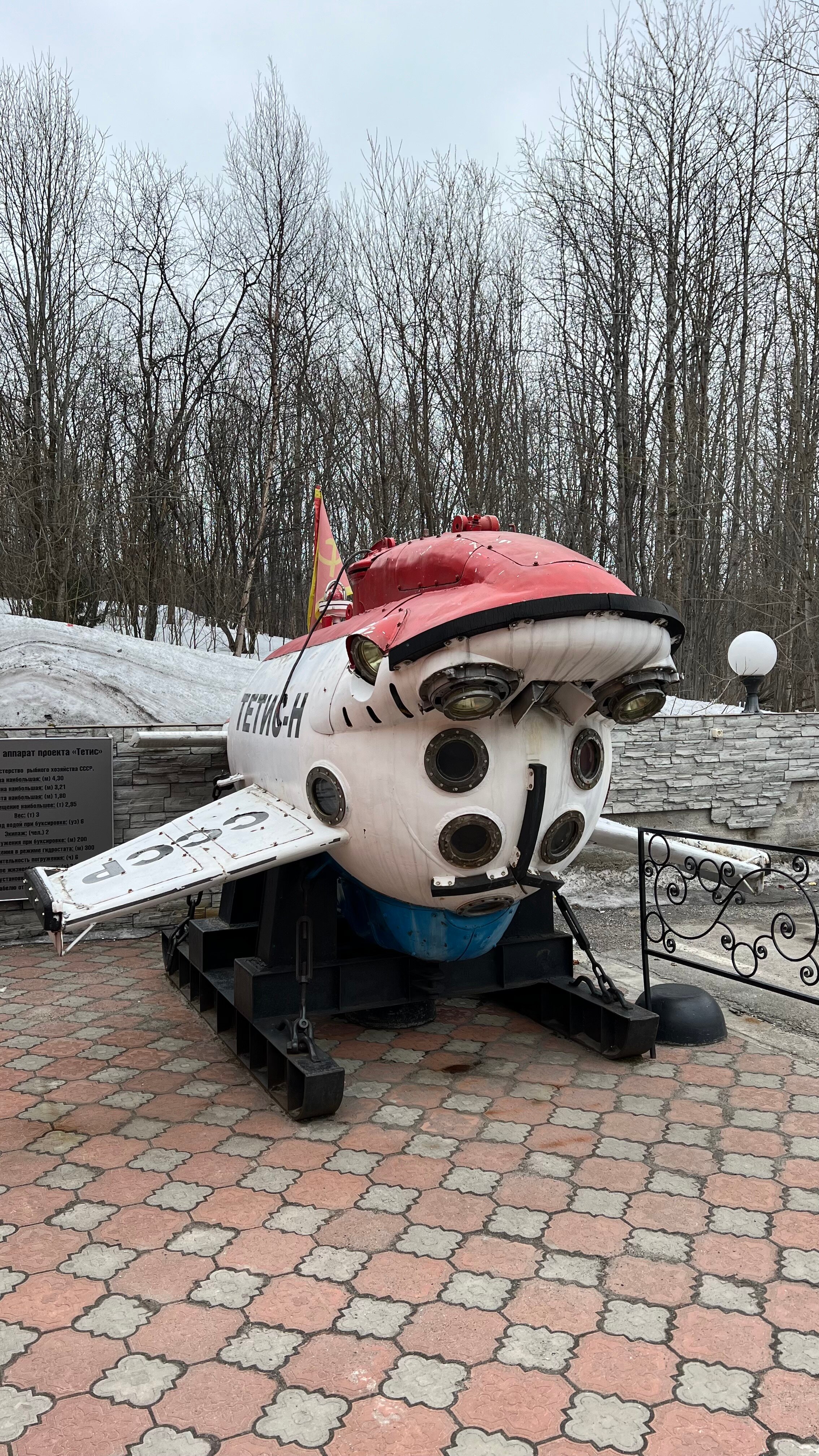 Фото из отзыва