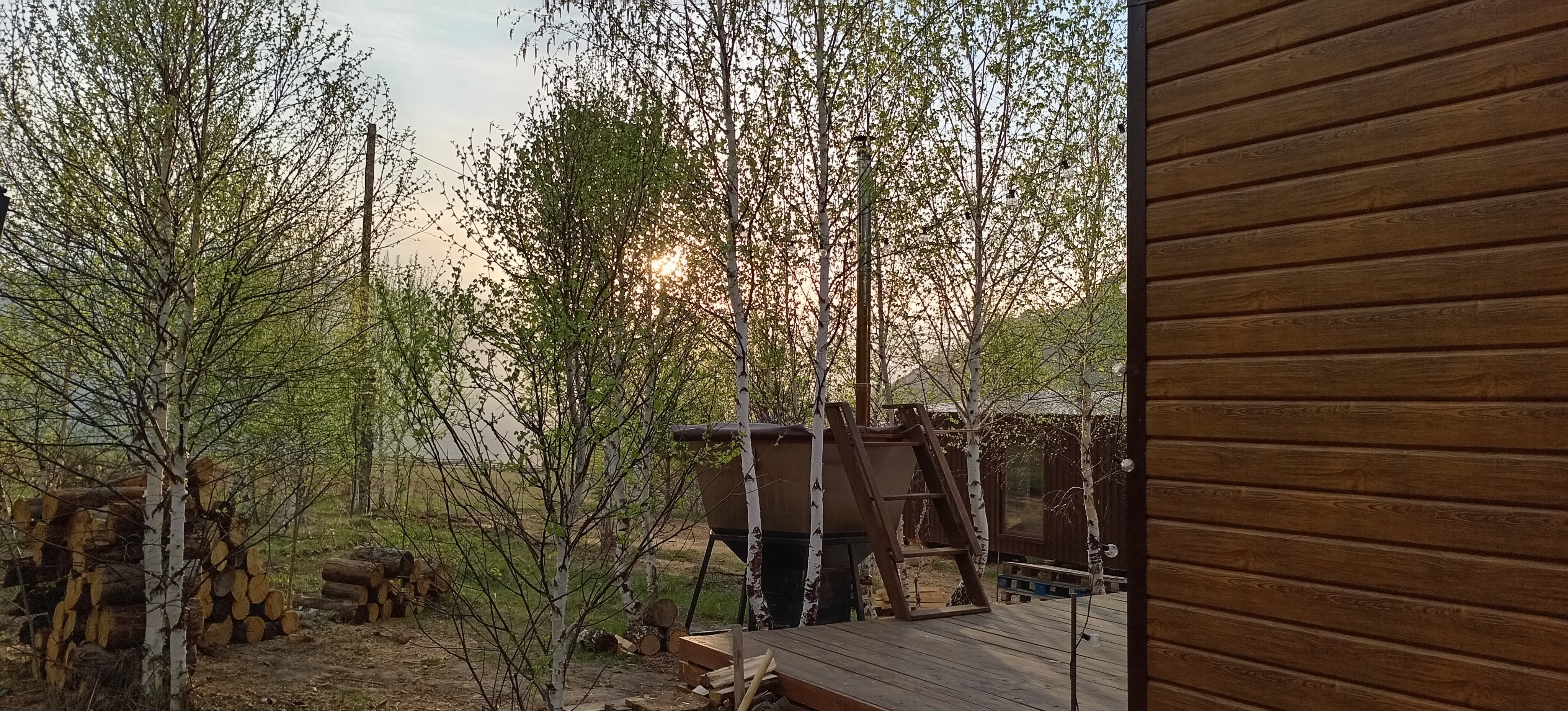 Фото Чайное гнёздышко