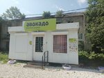 Авокадо (posyolok Tsentralnogo otdeleniya sovkhoza imeni Ilyicha, Shkolnaya ulitsa, 5) ، محل بقالة