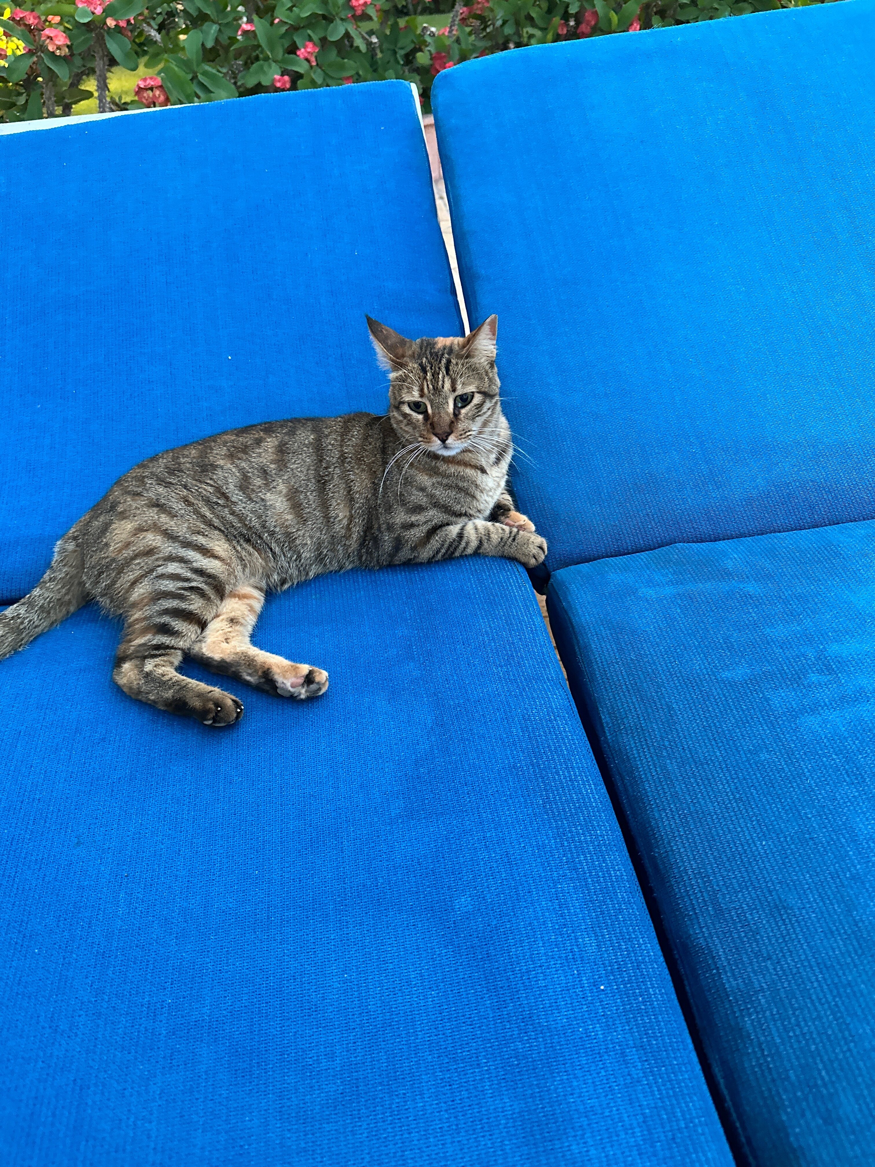 Фото Sea Star Beau Rivage Hotel