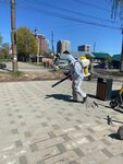 Ecco Ses (Moscow, Fabritsiusa Street, 31А), disinfection, disinsection, deratization