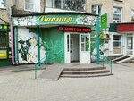Dianiya (Pobedy avenue, 19), floristeria