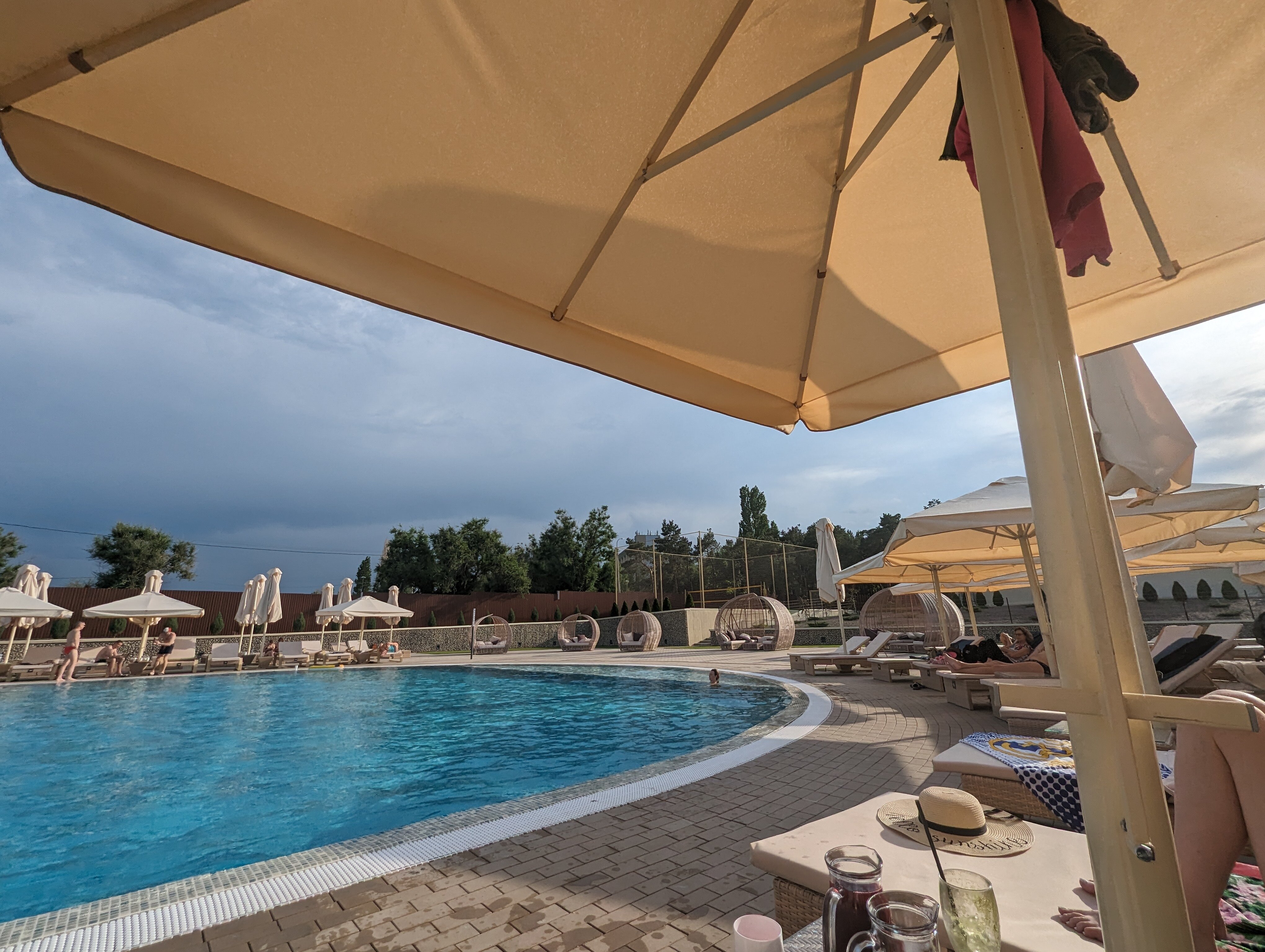 Фото Наша Хвоя