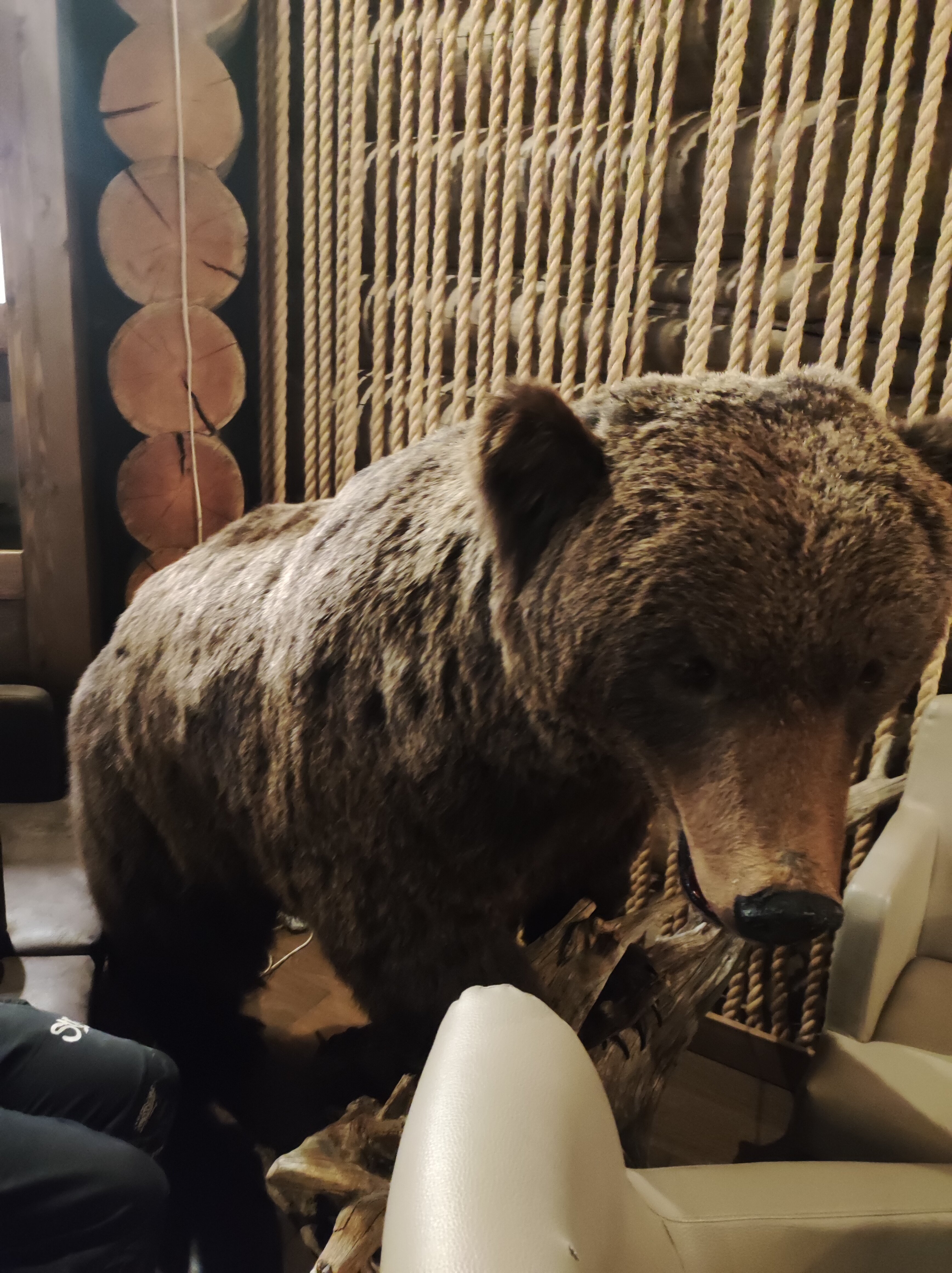 Фото Соловецкая слобода