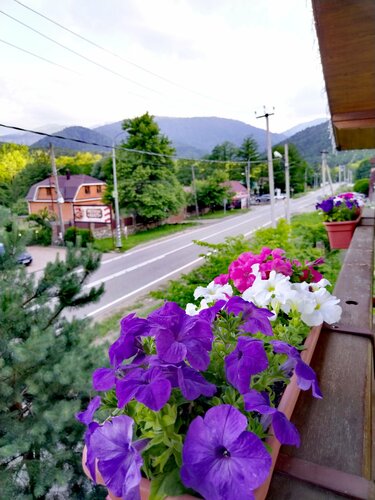 Дом с видом на горы  фото 9