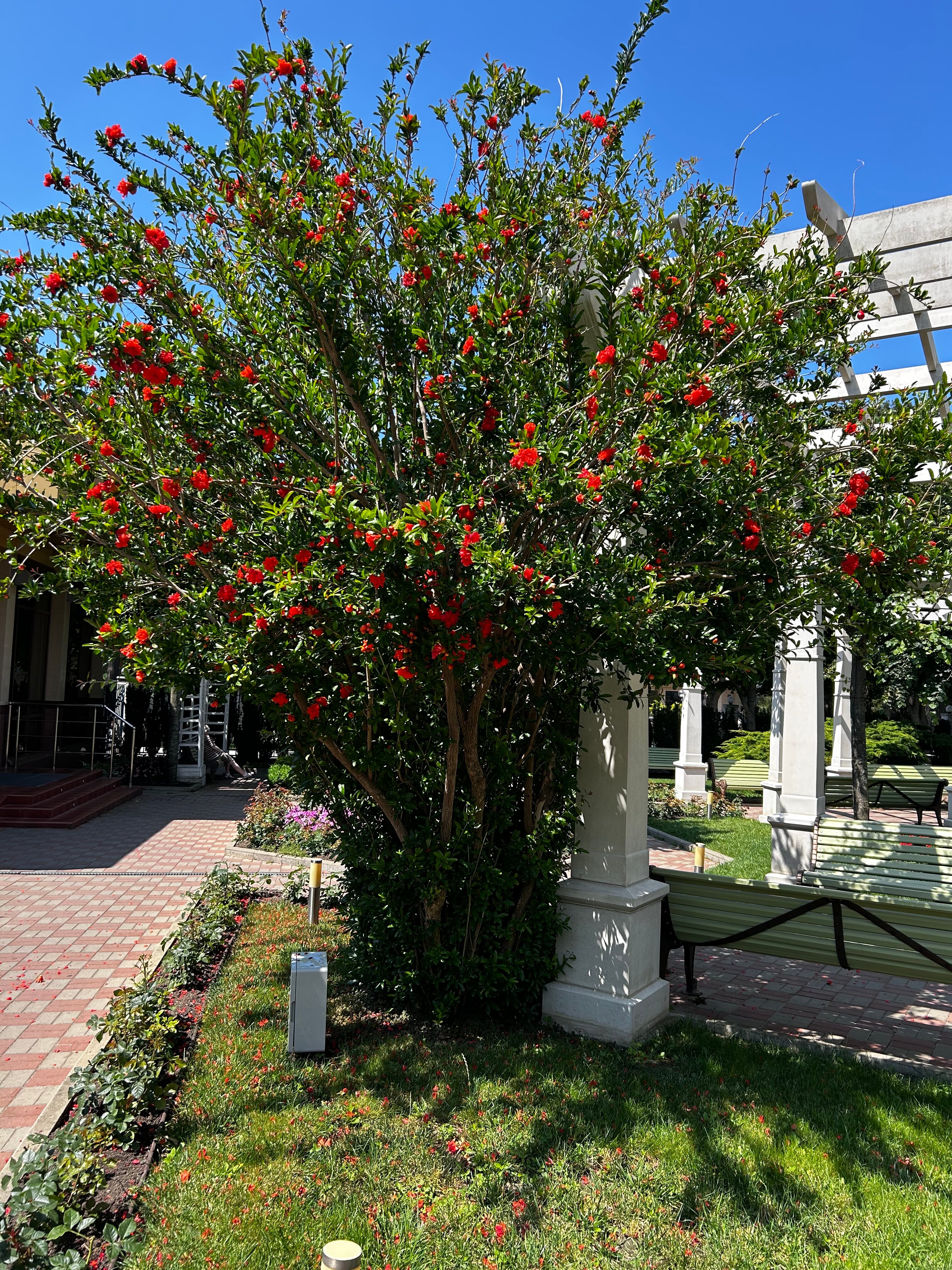 Фото Красная Талка