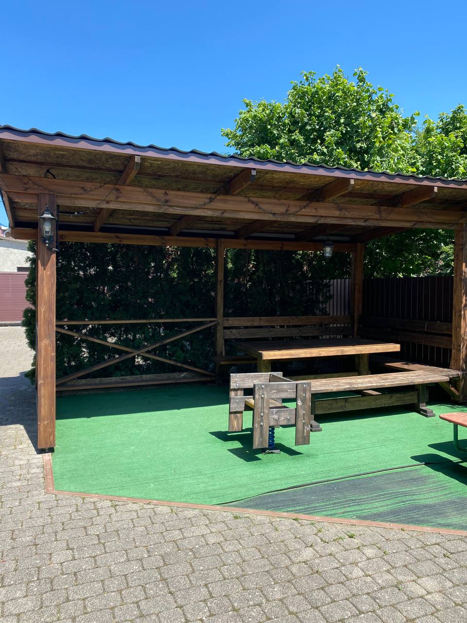 Фото Вербена